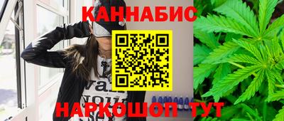 сатива Гагарин