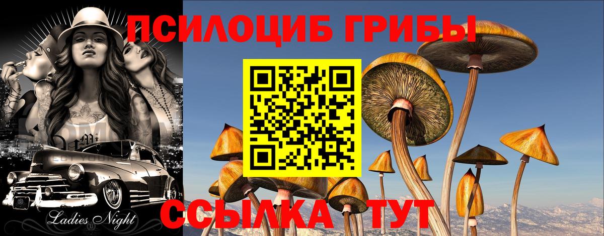 Галлюциногенные грибы мухоморы  Вход с VPN  Нижний Тагил  Галлюциногенные грибы мицелий 